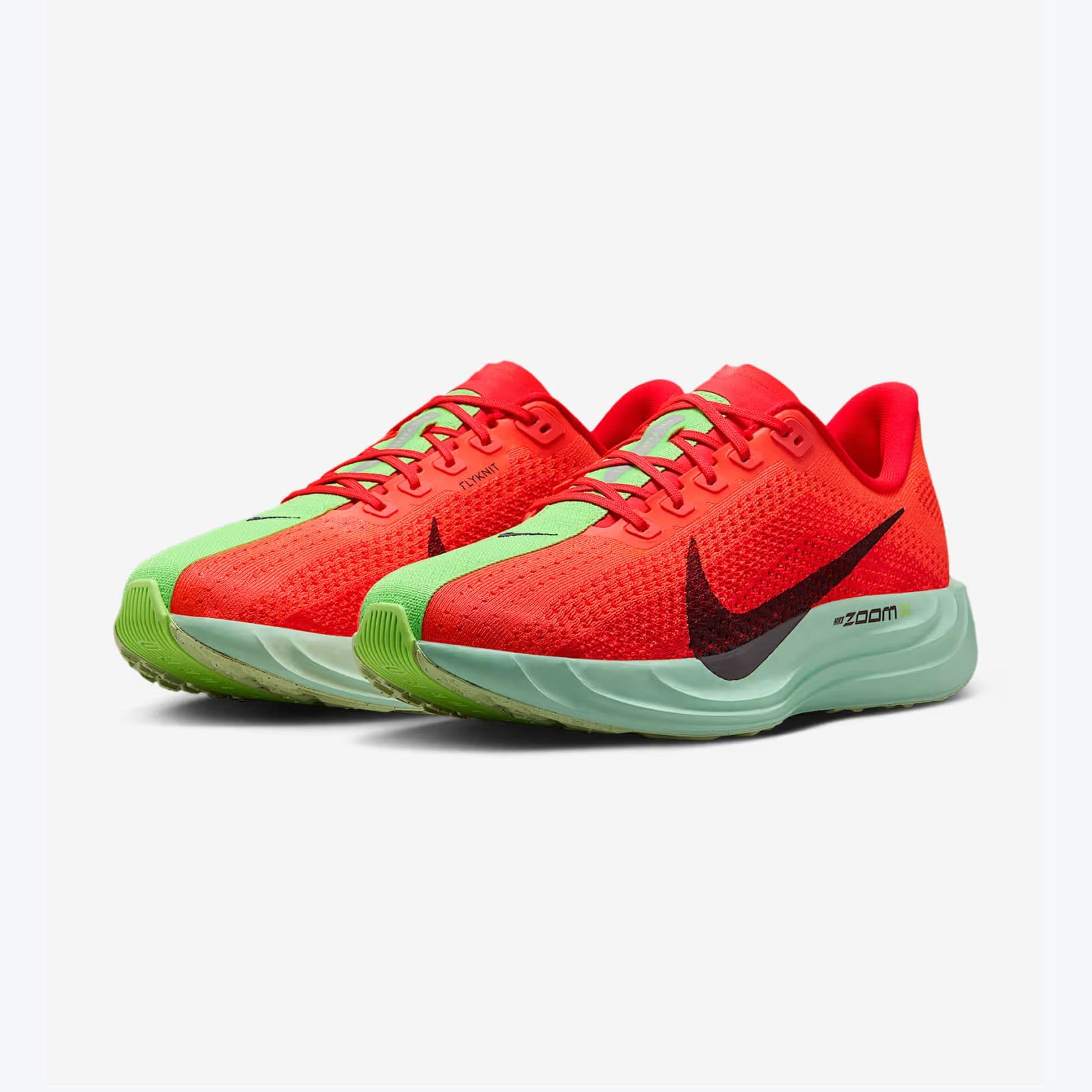 Pegasus Plus - Footwear - Nike - Red, Green, Lime, Teal image